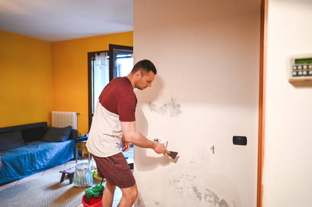 Best Certified Mold Removal  in Mableton, GA