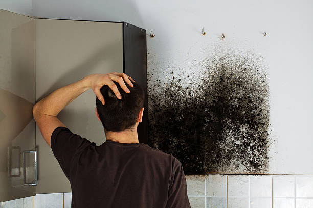 Best Crawl Space Mold Removal  in Mableton, GA